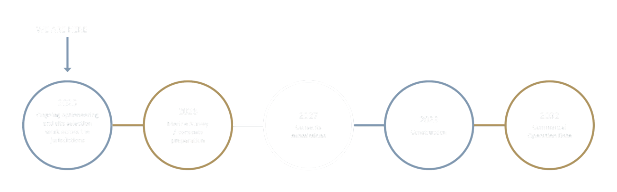 Illustrative timeline for the Tarchon project